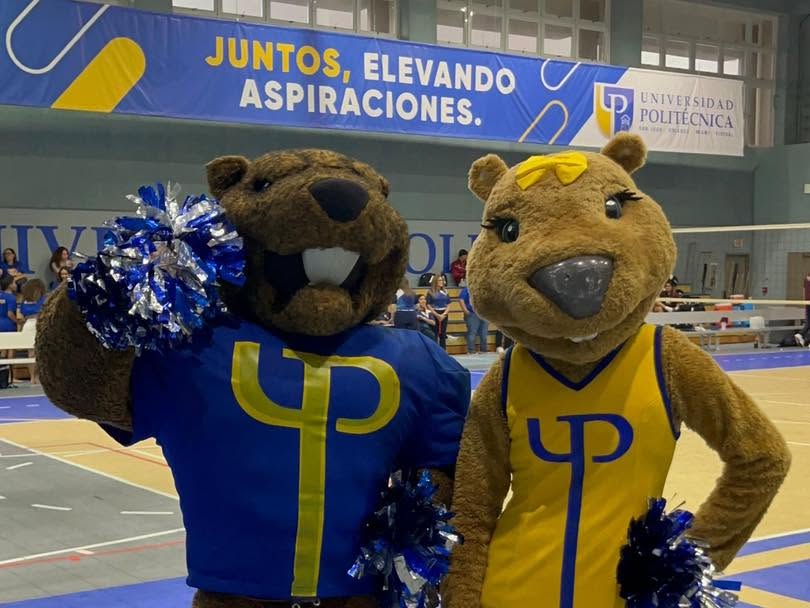 Volleyball Madriguera Challenge